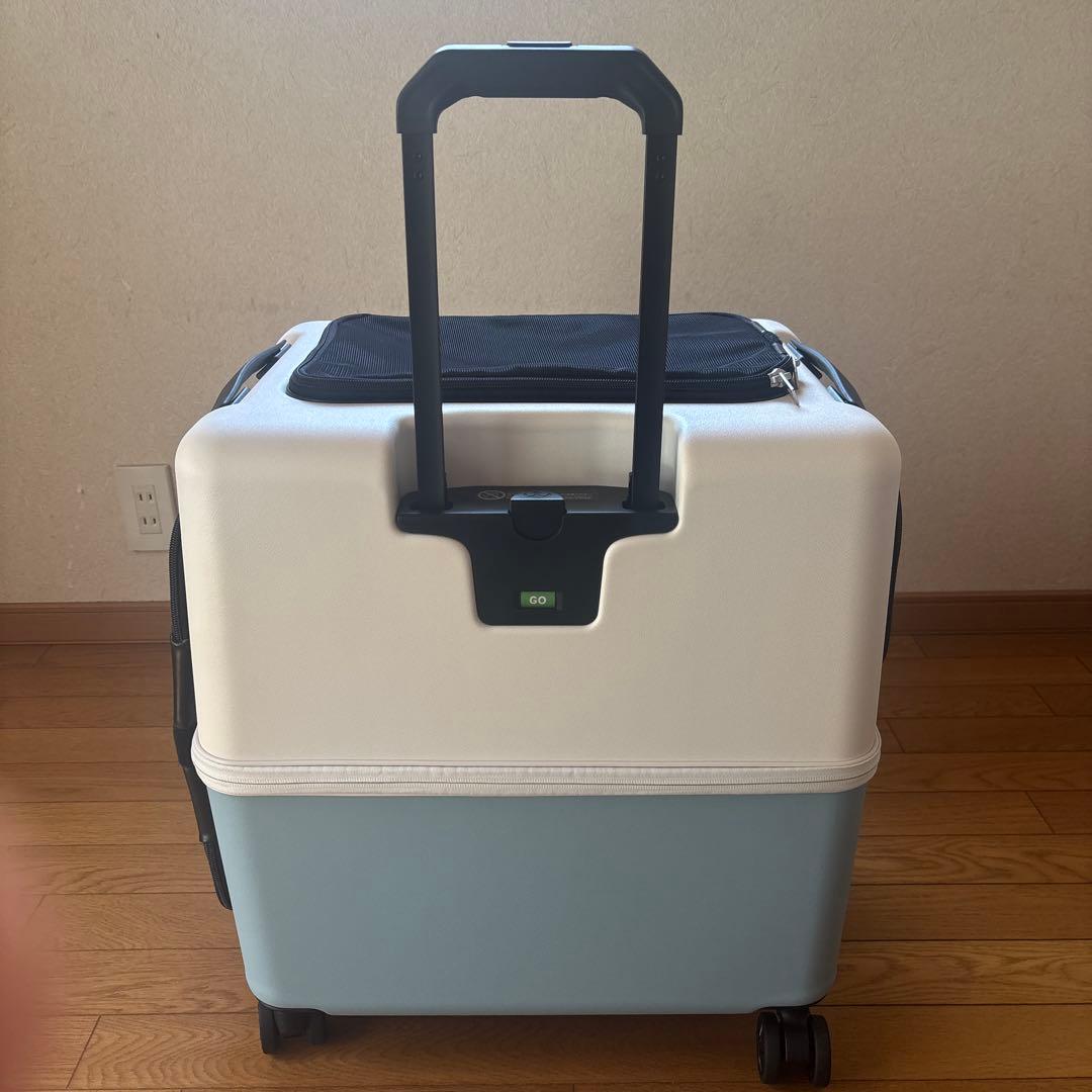 PETICO Ｌサイズ3点セット　クッション、レインカバー付き　ブルー✖️ホワイト