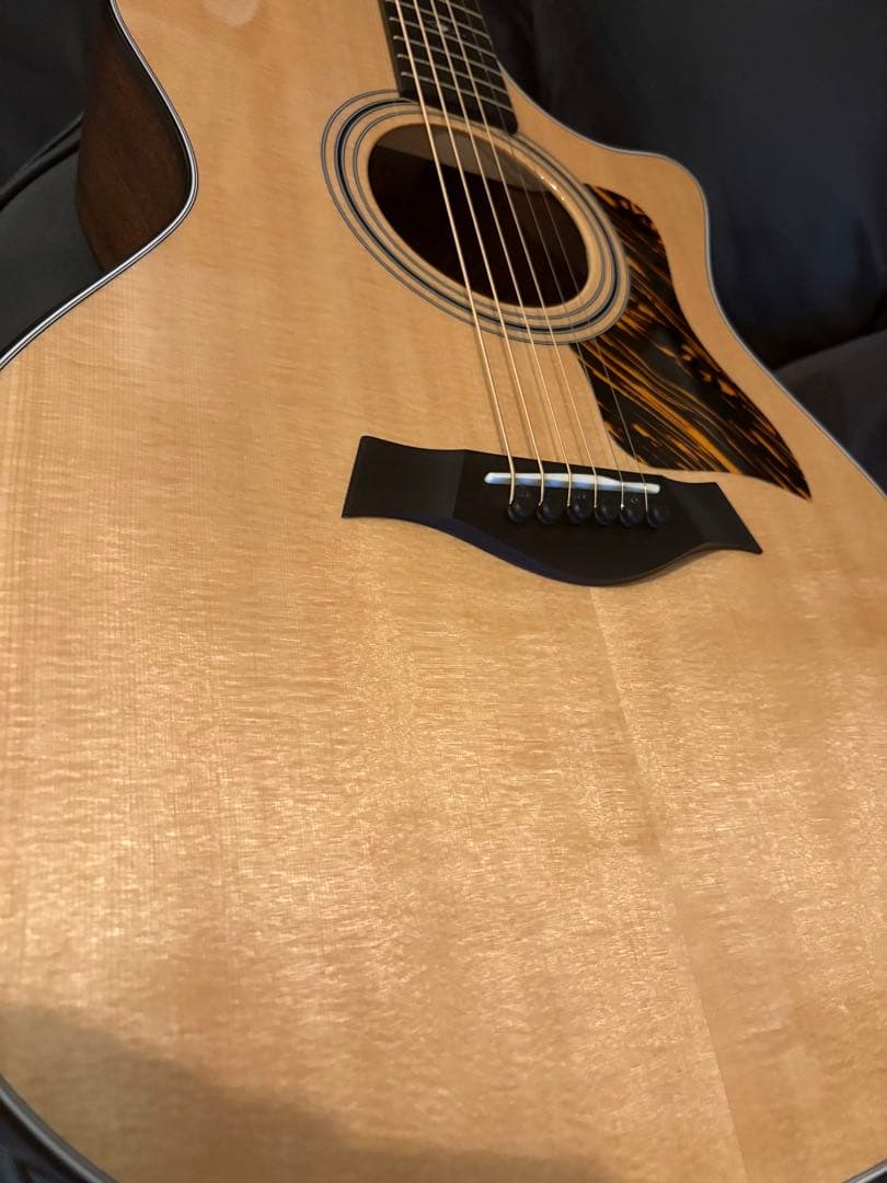 meromu　光栄堂　taylor 314ce Vクラス　日本限定仕様