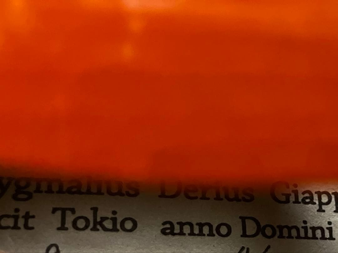 20年以上前　ピグマリウス　4/4 バイオリン　本体とケース