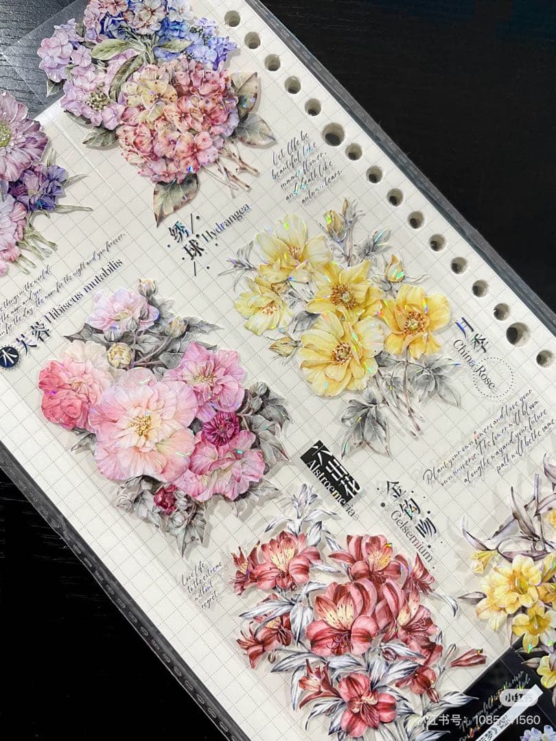 【9336】海外　マステ　5m巻　貝殻光　マスキングテープ　お花系　装飾系