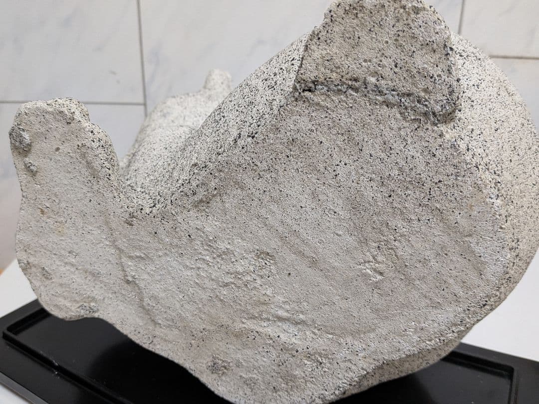 花崗岩（御影石）全長２４Ｘ横幅２３Ｘ高さ２４センチ重量１０キログラム超タヌキ置物