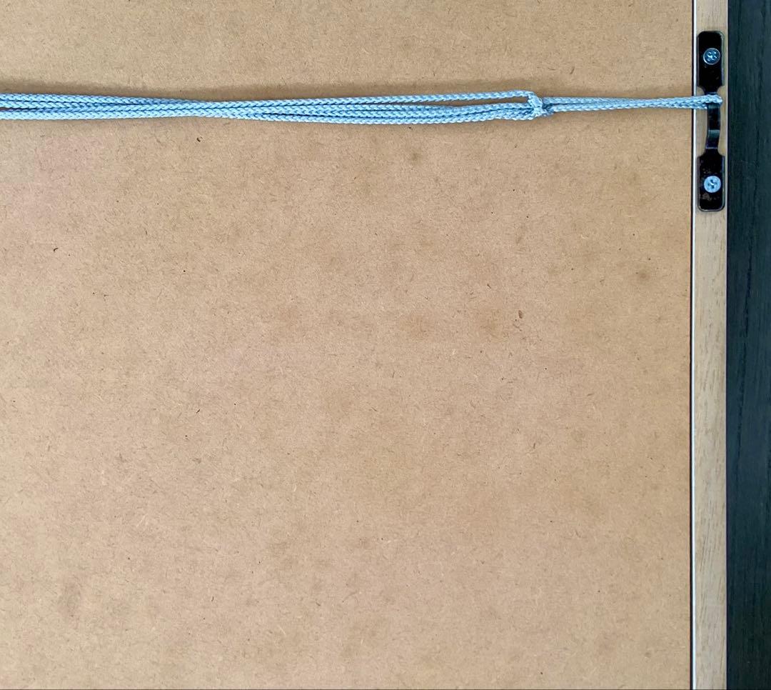 ジュジュタケシ　Juju Takeshi 額装　イラスト「enoshima」