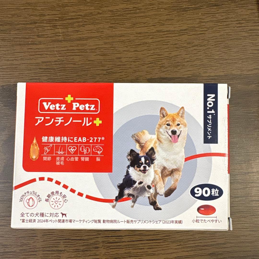 アンチノールプラス　90粒