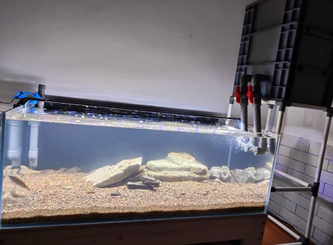 大きめサイズ 45wフルセット水槽池用フィルター、万能濾過器、濾過装置満ろ材付き