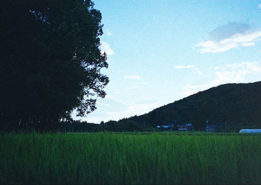 Zeiss Ikon zm （本体のみ）