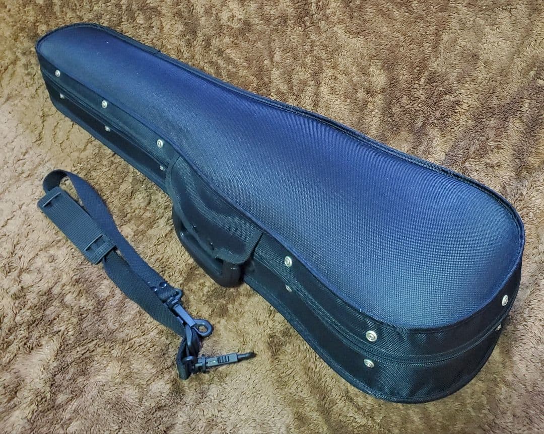 ​チェコ製 ARS 024A 4/4 バイオリン フランス製弓　GEWAケース