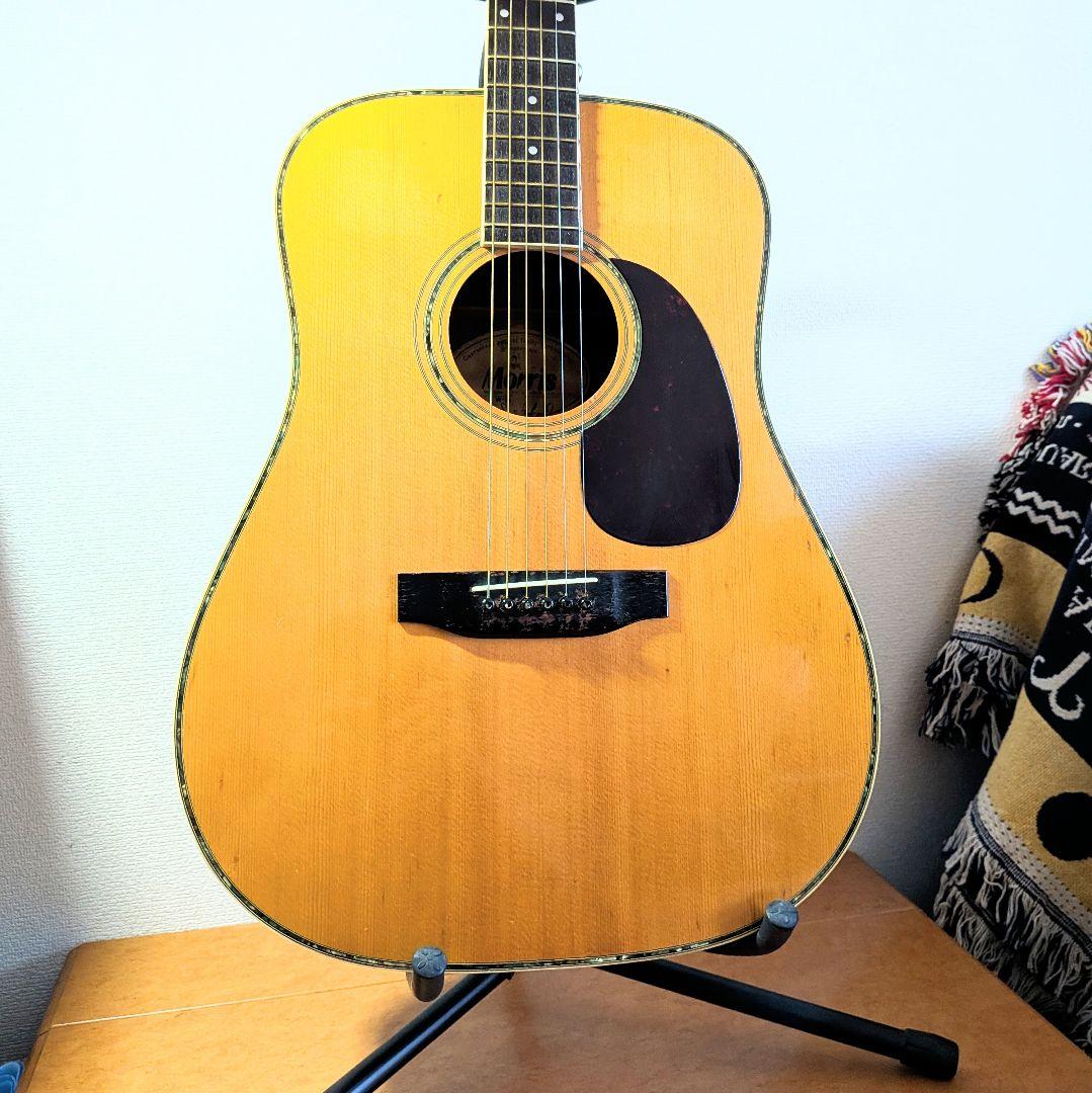 MORRIS　W-35　モーリス　ビィンテージ　トップ単板