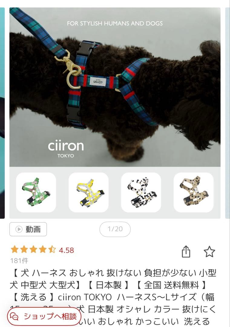 ciiron ドット柄 ハーネス・リードセット