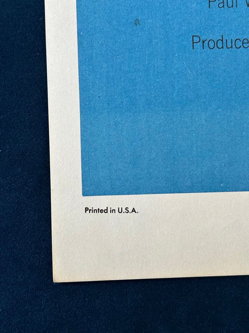 ワイルド・アフェア　USオリジナル映画ポスター