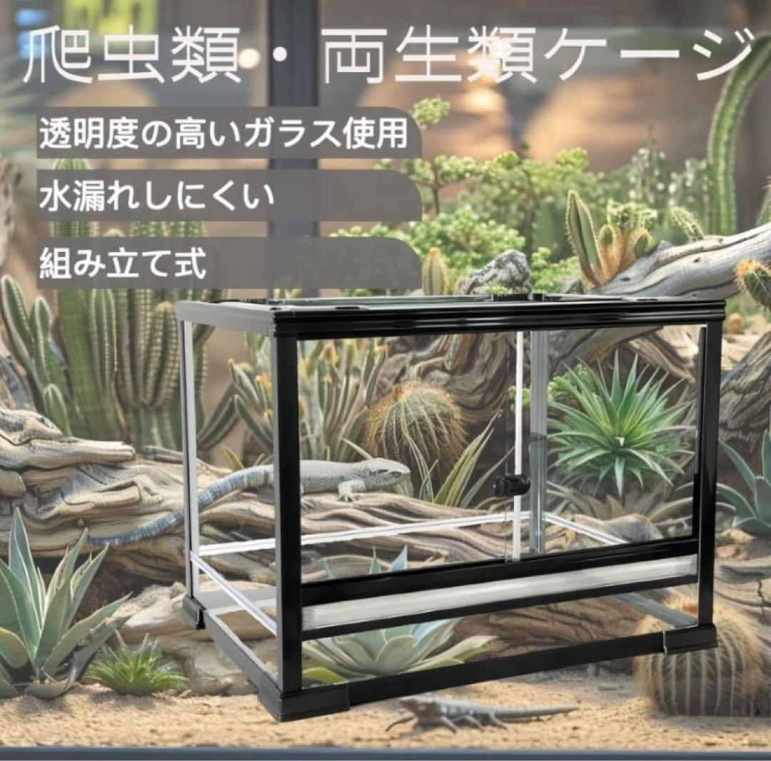 組み立て式　爬虫類両生類飼育ケージ、ガラス飼育ケージ60x45x45cm送料込み