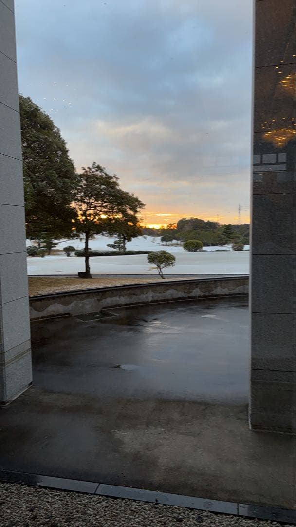 【はい！】ネスプレッソカプセルヴィエナルンゴ 600個