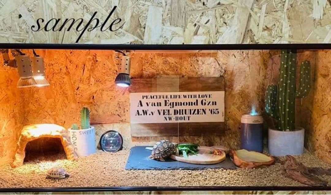 爬虫類ケージ　木製ケージ　リクガメ　フトアゴ　ハリネズミ フルオプ送料込み