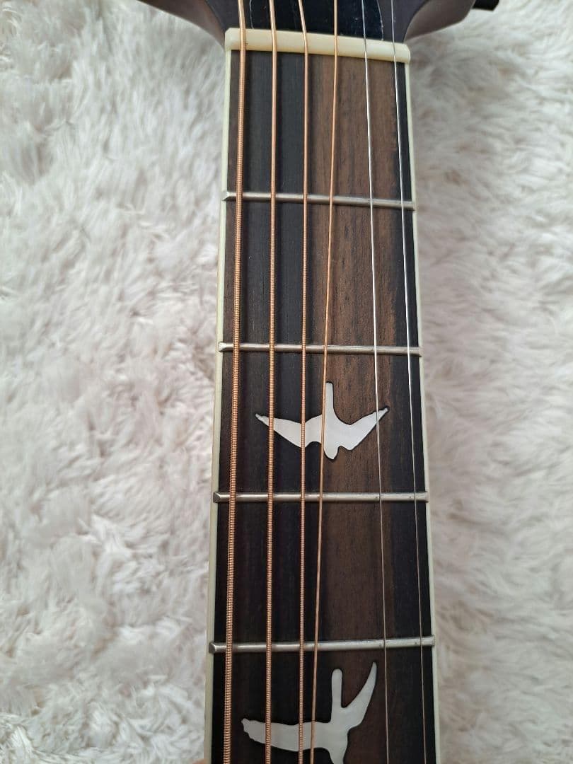 rnfjfs　新品同様　Paul Reed Smith SE P20E