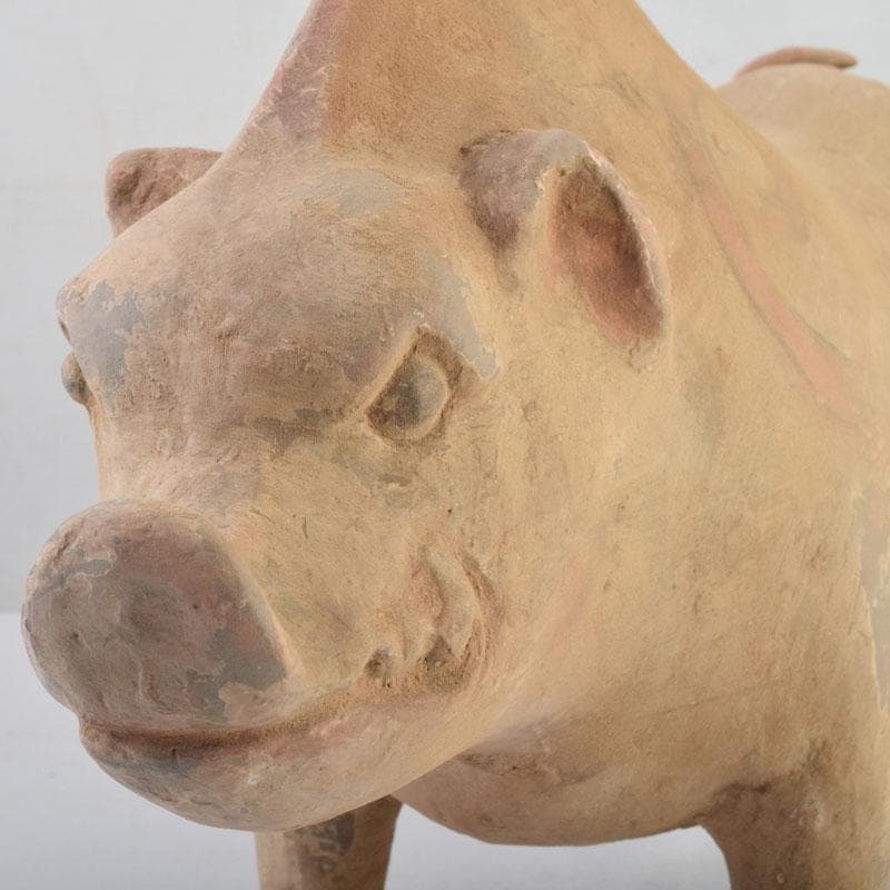 中国　加彩　豚俑　陶俑　置物　V　9049AE