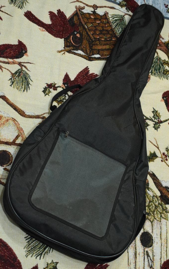 Epiphone Sheraton II セミアコ Black ケース付き