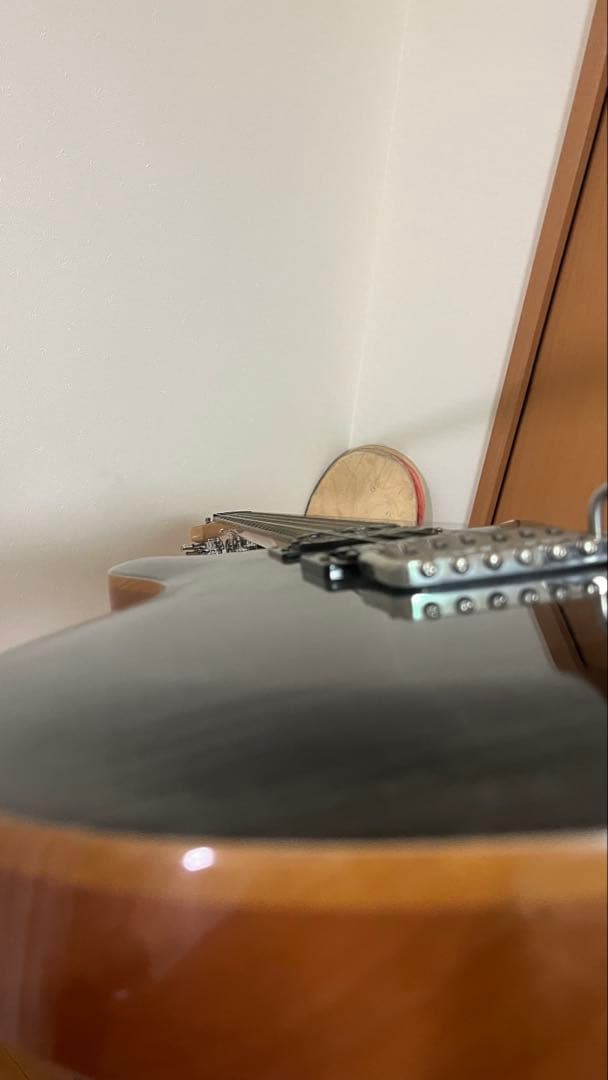 PRS SE Custom 24エレキギター グレー