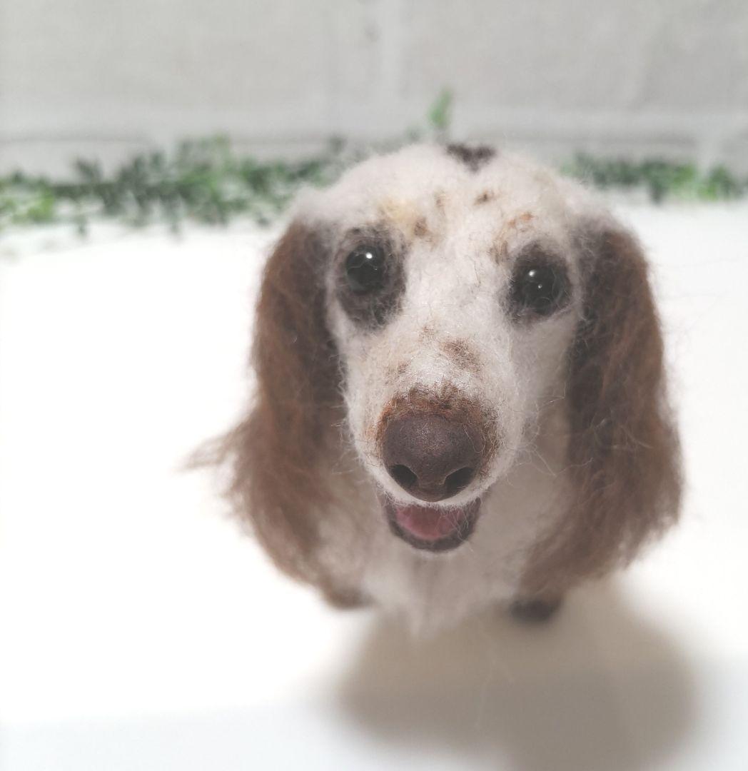 美桜♡うちの子オーダー♡羊毛フェルト♪ハンドメイド☆