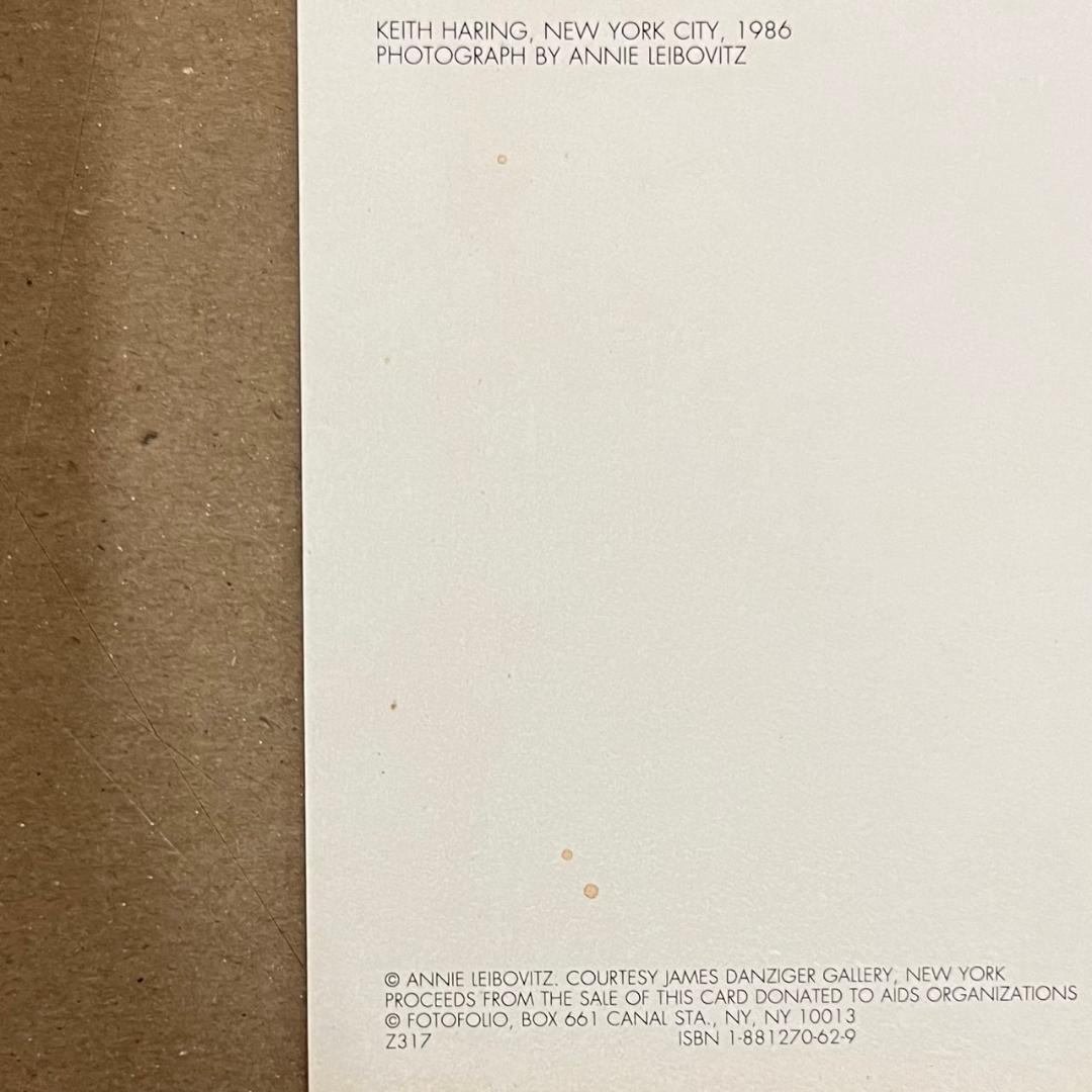 限定マット額装品/アニー・リーボヴィッツ/ヘリング/