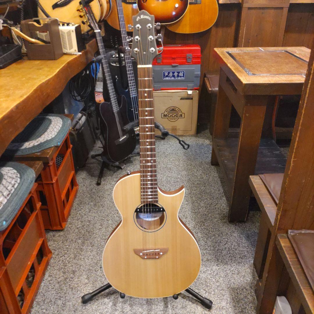 GrassRoots G-AC-45 エレアコ (管理ワテ)