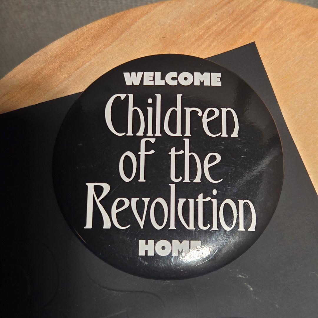 RAF SIMONS Set of 3 pins 缶バッジ ピンズ 21ss