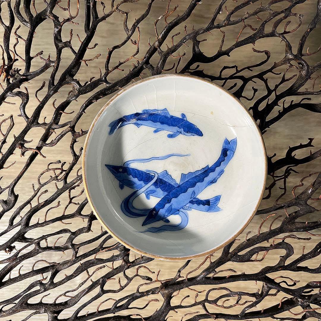 骨董　古伊万里　九谷　古染付　希少　鮎　遊魚　図案　豆皿　※難あり、参考品用