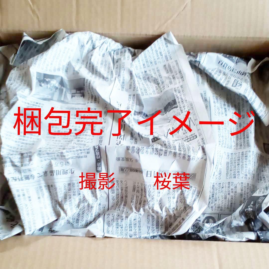 ガンプラ hg ガンダムローズ ガンダムマックスター 2点セット 未組立