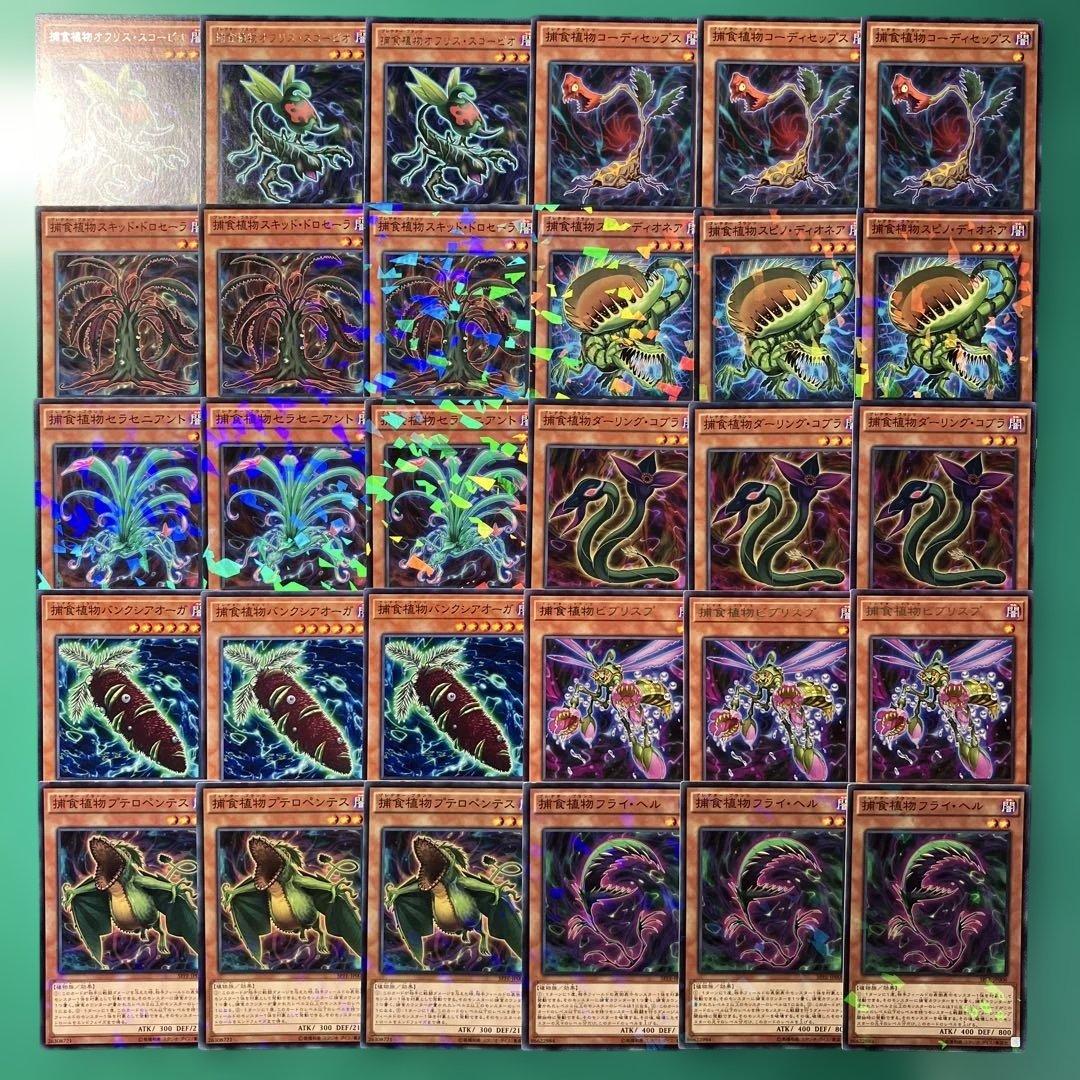 遊戯王 プレデタープランツセット④