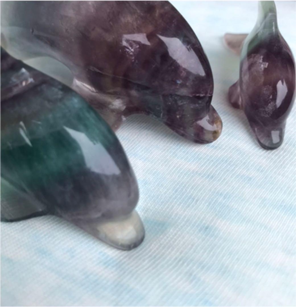 フローライト イルカ☆