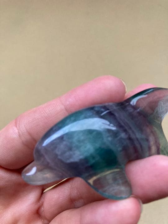 フローライト イルカ☆