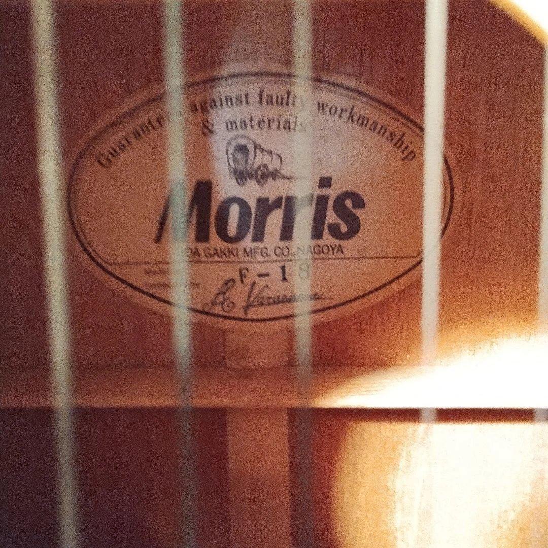 Morris アコースティックギター F-18