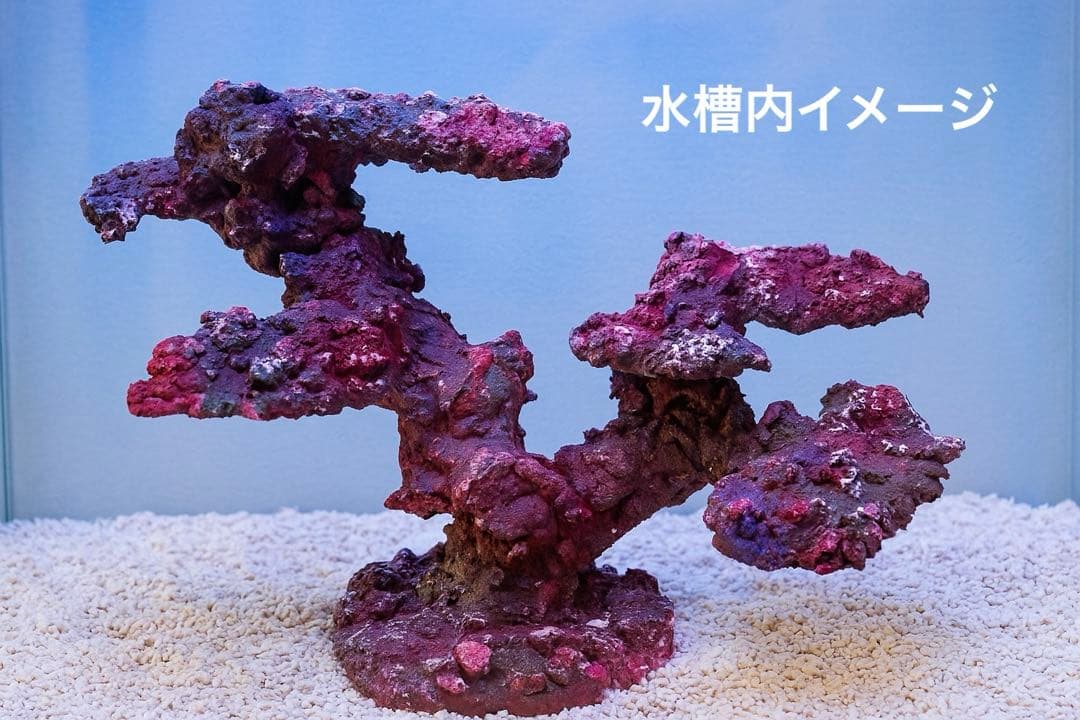 人工ライブロック RR69 アク抜き済み安心塗料使用