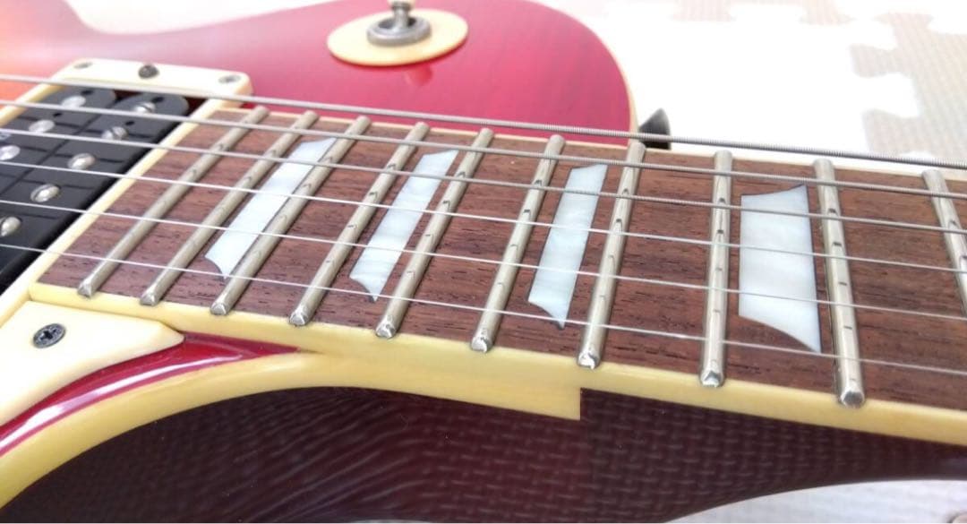 Burny レスポールタイプ エレキギター