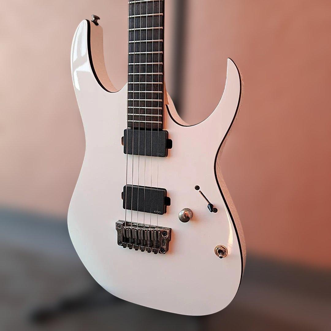 ■Ibanez RGIR20FE EMG 81 60 アイバニーズ