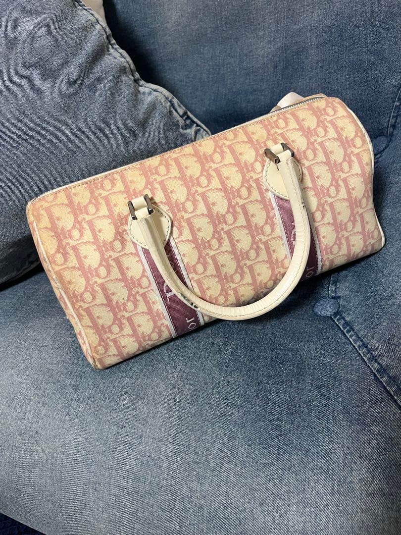 【あにまる】Christian Diorトロッター