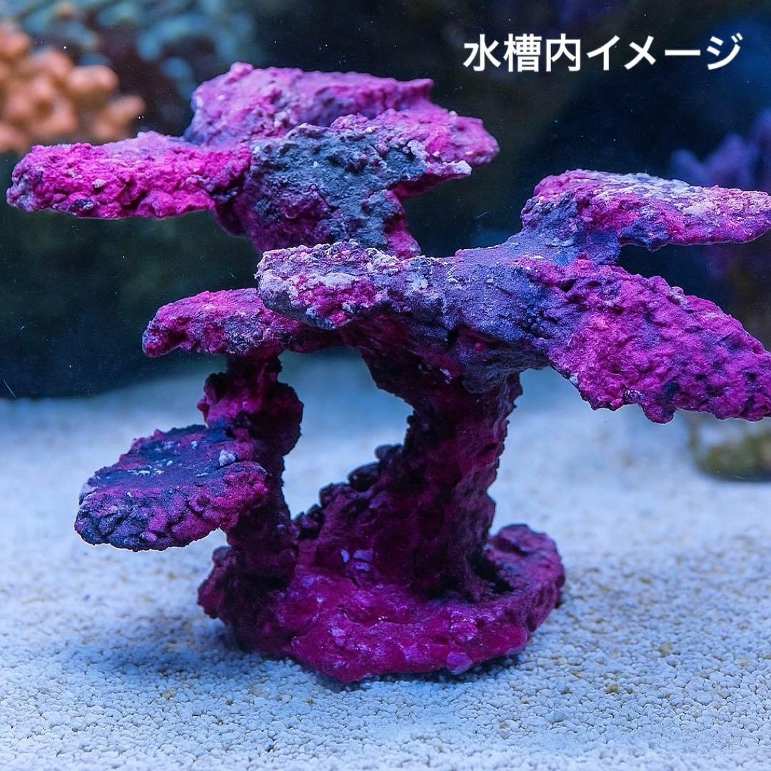 人工ライブロック　SHR29 アク抜き済み安心塗料使用