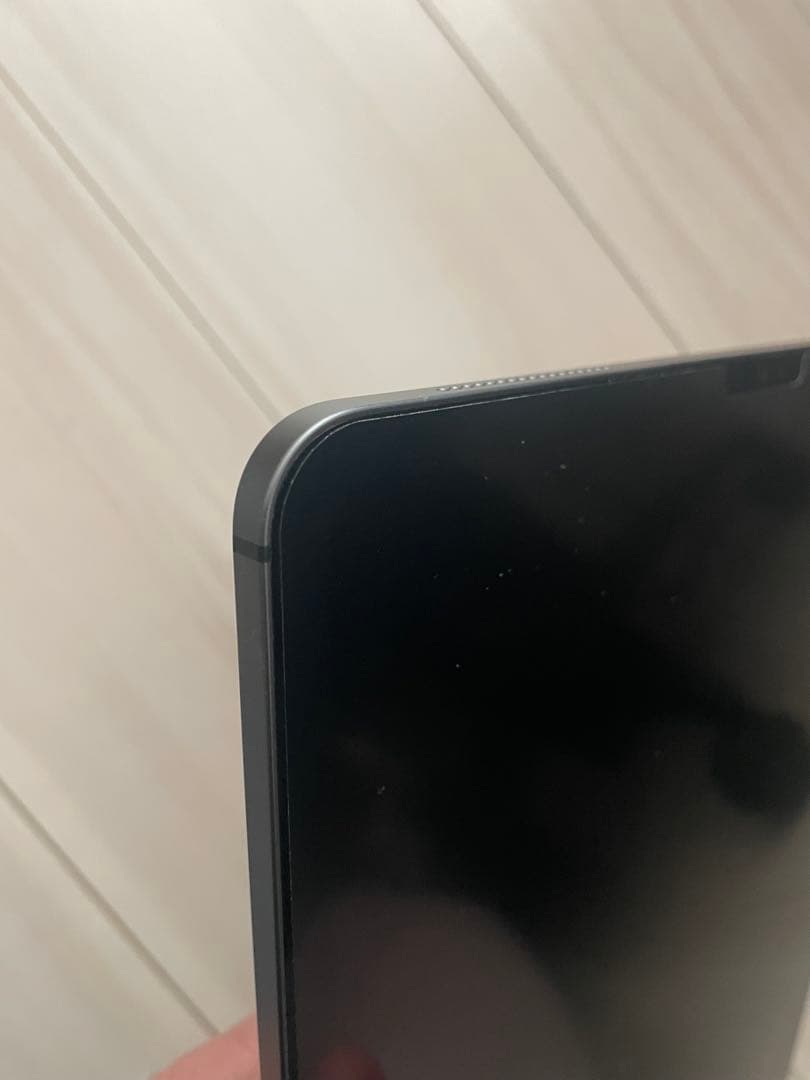 【極美品】iPad Pro 12.9 Wi-Fi Cellular 128GB