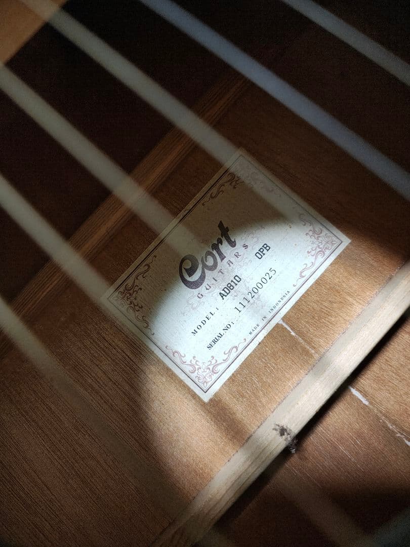 CORT AD810 OPB/マットブラック