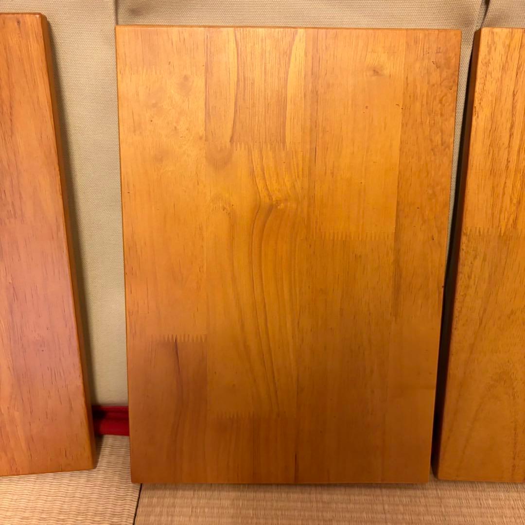  peak スノーピーク エントリーigt ハンドメイド収納ケース付き