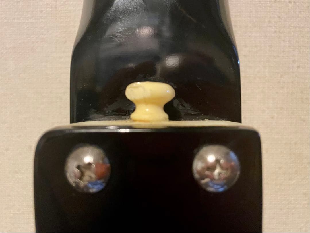 ダンエレクトロ DC59 改