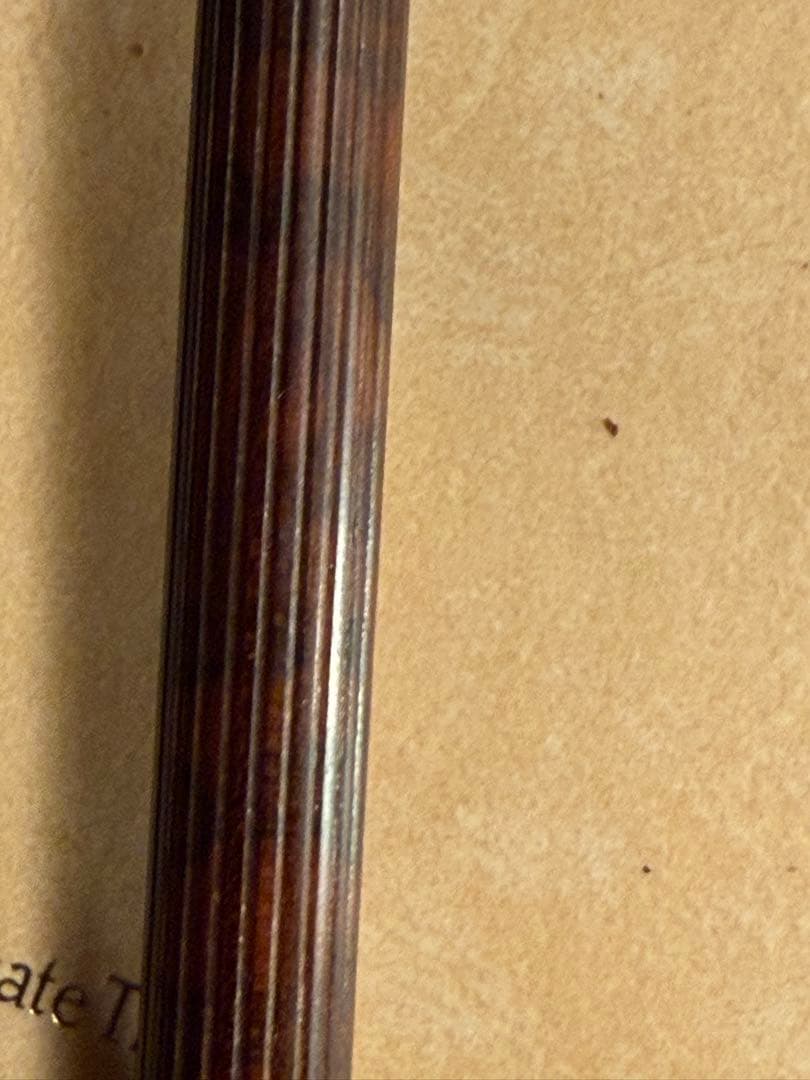 限定品 ファーバーカステル スネークウッド 万年筆 Mニブ