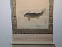 【模写】掛軸　川端龍子　花吹き　桜と鯉の情景　優雅に泳ぐ黒鯉図　二重箱入　T93