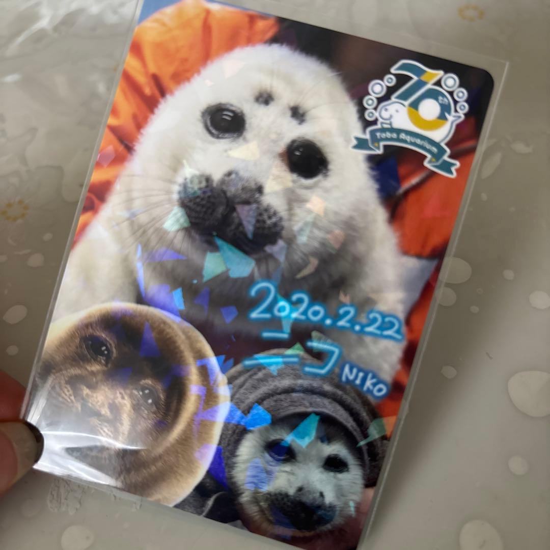 鳥羽水族館　70周年　コレクションカード　レア　ニコくん　アザラシ