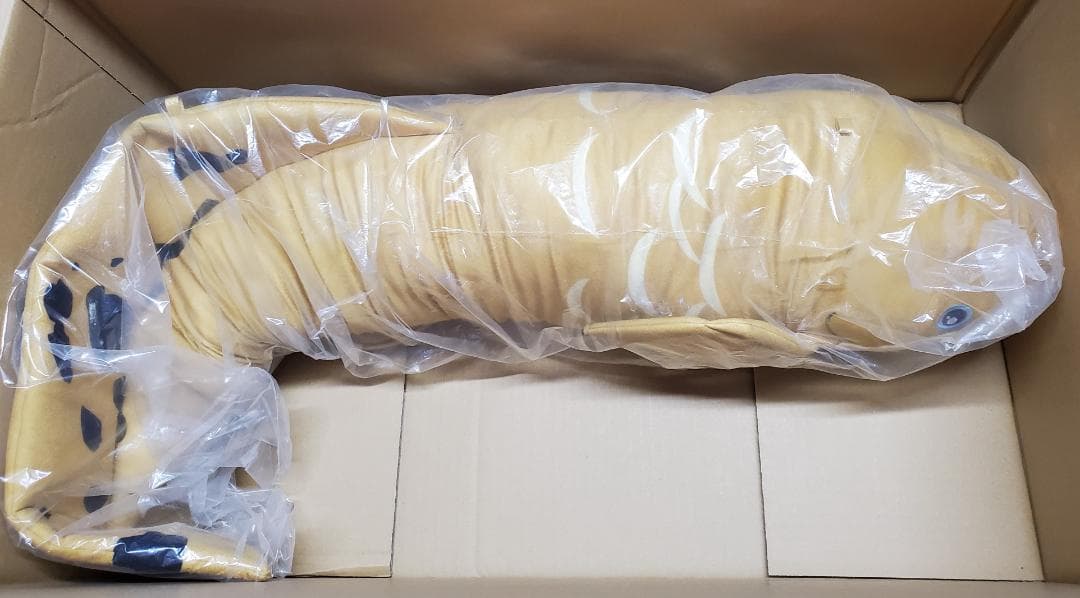 キョーリン でかキュン抱きぐるみ　ネオケラトドゥス