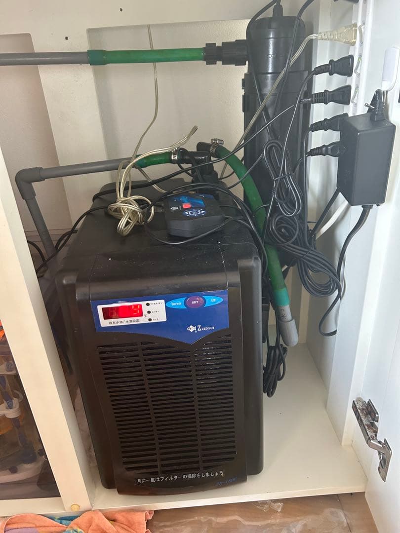 海水魚水槽フルセット早い者勝ち