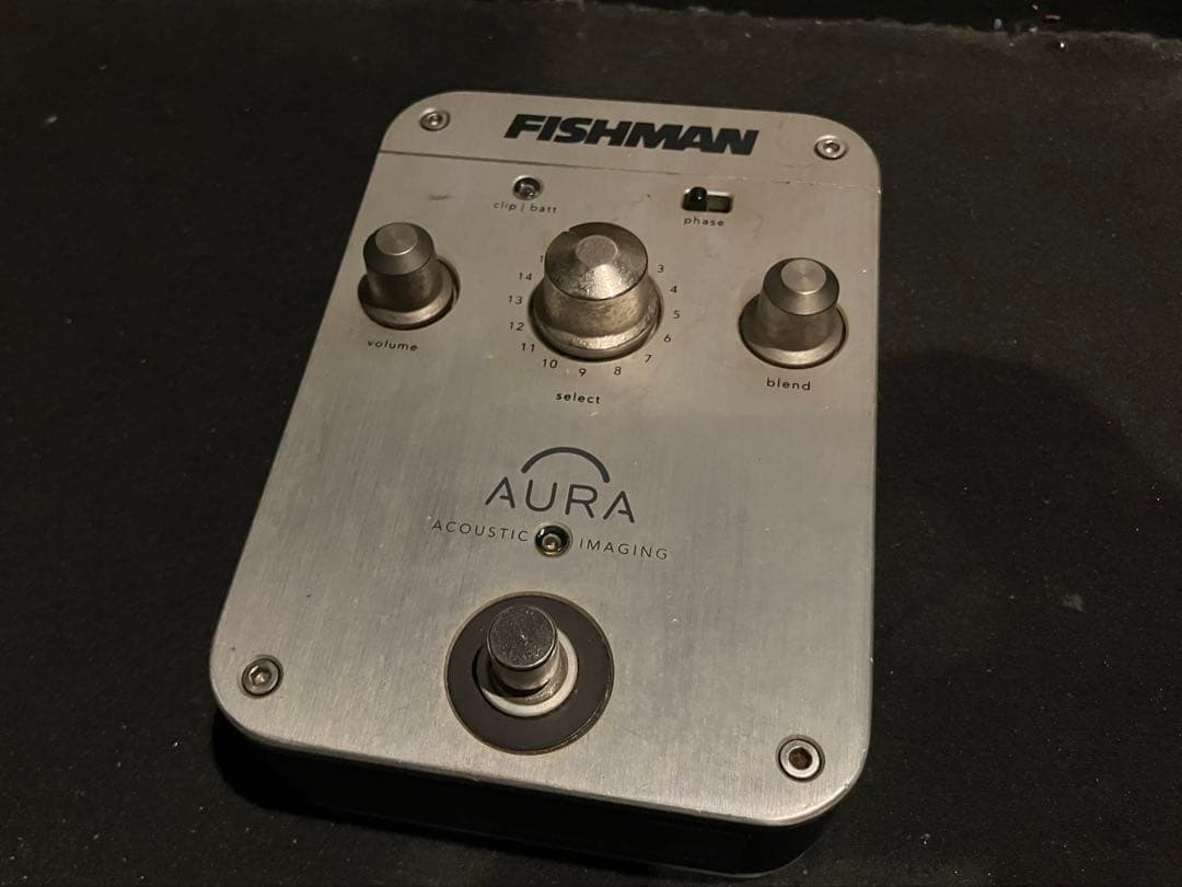 ギター FISHMAN AURA DREADNOUGHT