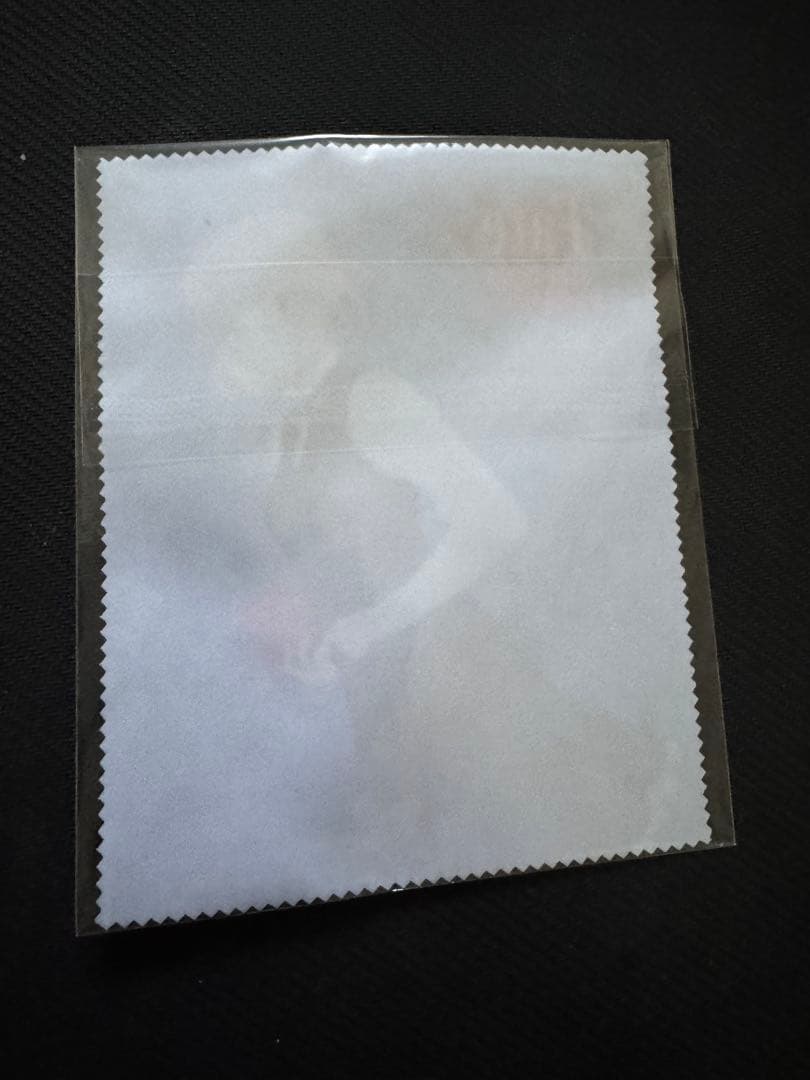 眼鏡執事 Fate/stay night UBW コラボ セイバーモデル