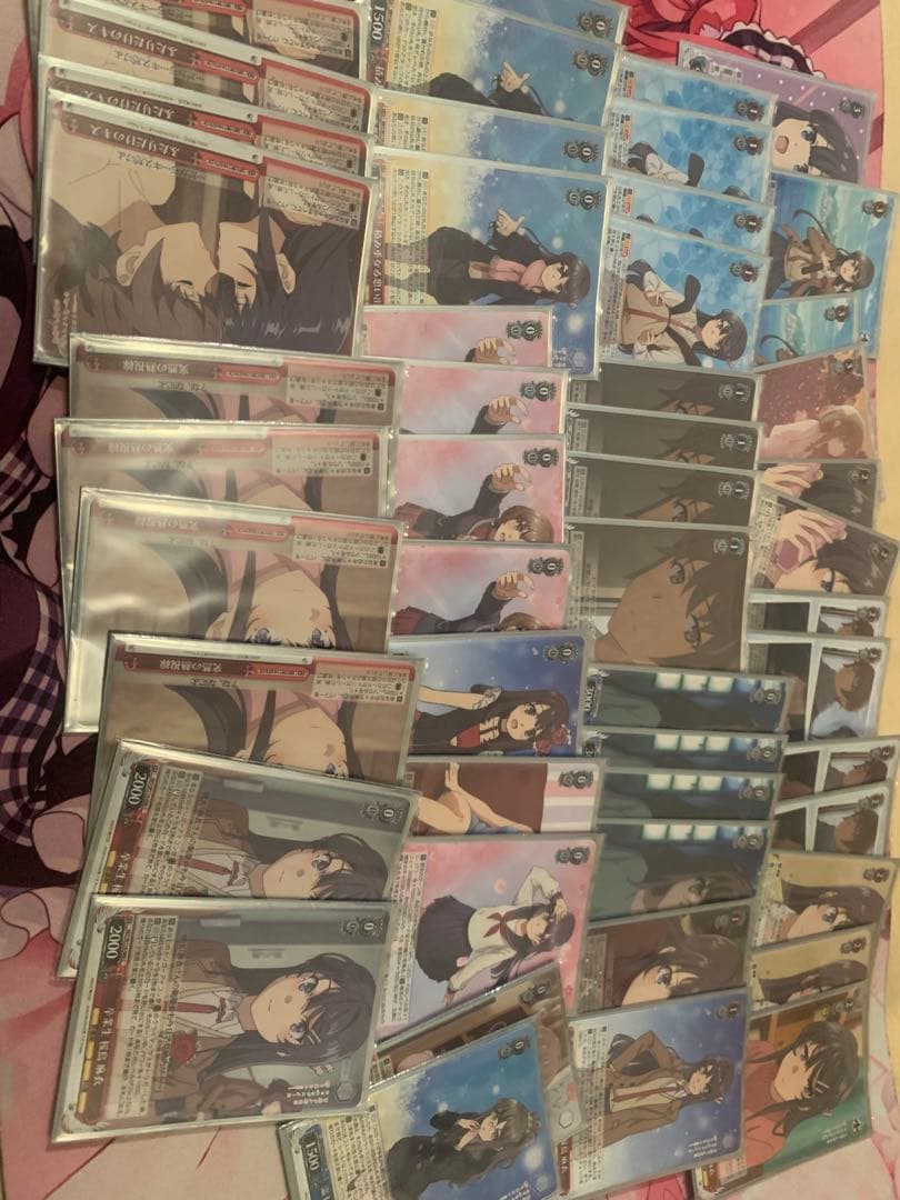 ヴァイスシュヴァルツ　8扉青ブタデッキ　調整パーツ付き