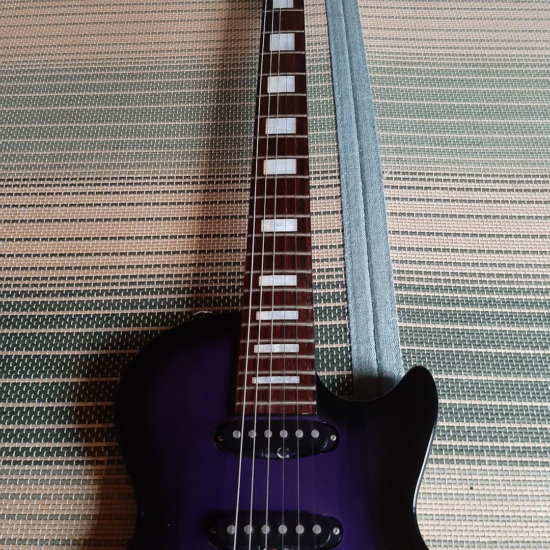 ESP グラスルーツ GrassRoots レスポール ソフトケース、オマケ付き