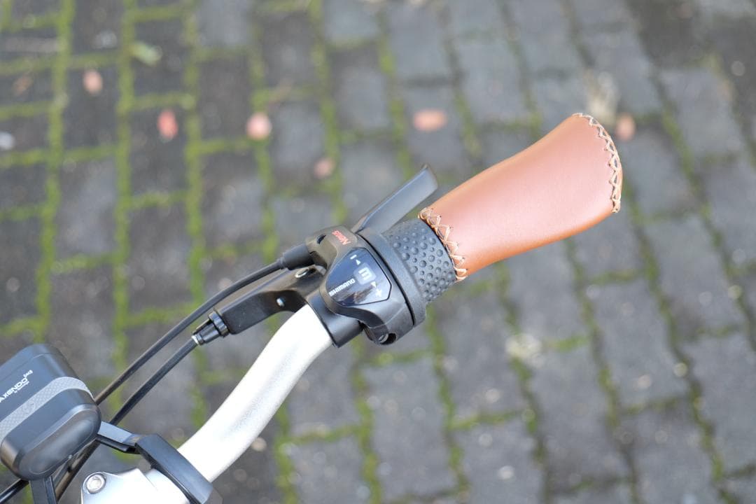 値下げ！【50㎞未満】WIMO COOZY Light 電動自転車 20インチ