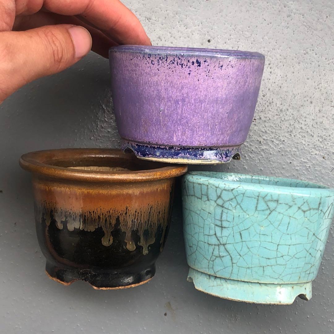 391.峯生 丸鉢3点 盆栽鉢 植木鉢 8*5.5cm